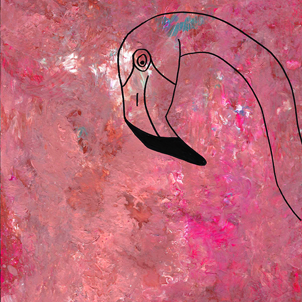 flamingo illustratie
