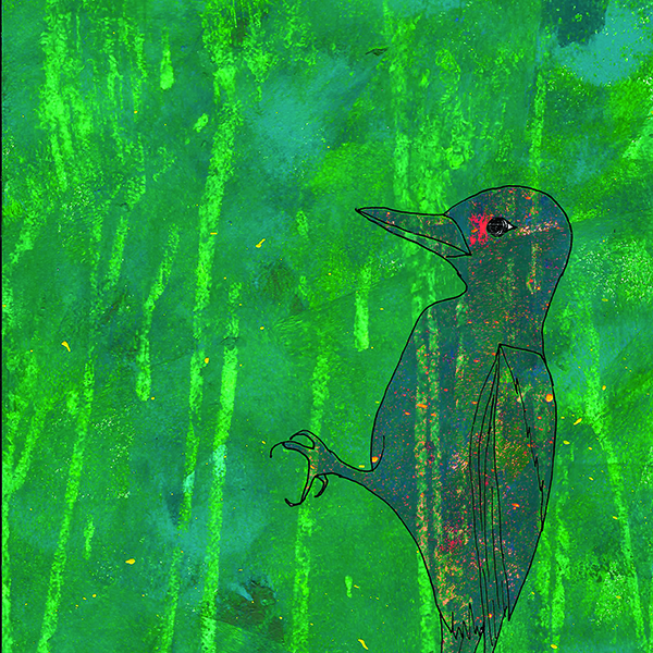 grote bonte specht illustratie
